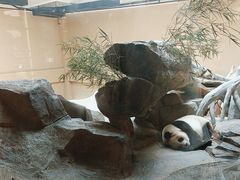 -宁波野生动物园