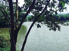 -宝安西湾红树林湿地公园