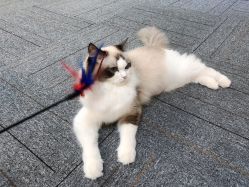 -元一肌肤管理中心