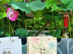 -顺城金记卤鸡·清真