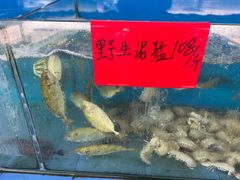 -七鲜渔港美食餐厅(巽寮湾海景店)