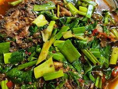 藿香鲫鱼-陈有良尖椒鸡(江津总店)
