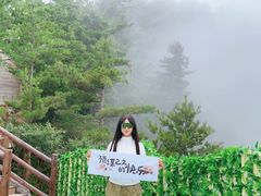 -秦岭天竺山景区