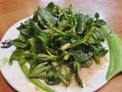 清火穿心莲-圆满素食林饭店非遗素食(河西店)