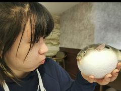 -肆月河豚·新淮扬(金融街店)