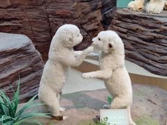 -陕西自然博物馆