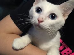 -赢吧Bliss音乐酒吧