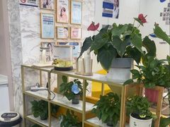 -启辰口腔(南坪店)
