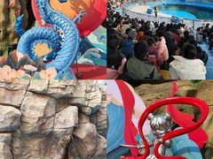 -华夏文旅海洋公园