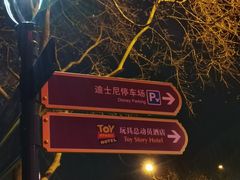 -迪士尼乐园停车场