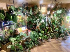 -Rabbit Cafe私房西餐甜点咖啡(栖霞路店)