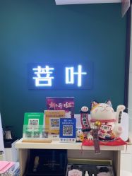 -菩叶脱发白发中心