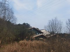 -西湖风景区-江洋畈生态公园