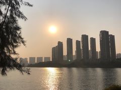 -五缘湾湿地公园