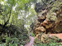 -孤山岛