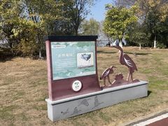 -瑶湖郊野森林公园