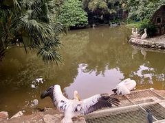 -深圳野生动物园