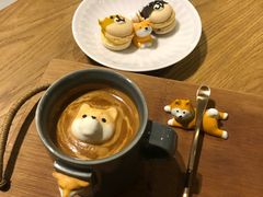 -柴务处·柴犬主题狗咖