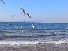 -青岛第三海水浴场