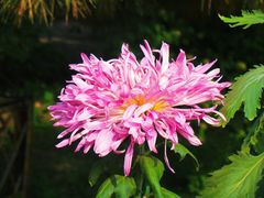 -国家植物园