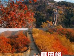 -沉浸北京·团建旅行·密室剧本杀·年会会议轰趴拓展