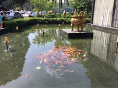 门口鱼塘-悦湖公馆