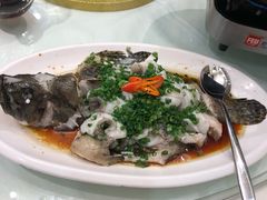 清蒸龙趸-东江海辉酒楼·公司团建·商务宴请·生日宴(宝安店)