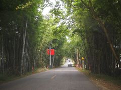 -红山村