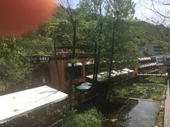 -Local泰莲庭(虹鳟鱼店)
