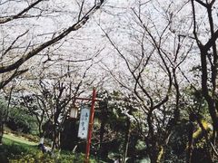 -中国茶叶博物馆(双峰馆区)