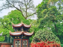 -峨眉山报国寺