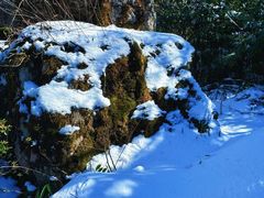 -山王坪喀斯特国家生态公园