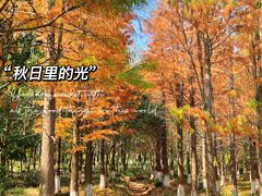 -苏州盘门景区人民桥南地铁站亚朵X酒店