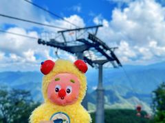 -牛背梁国家森林公园