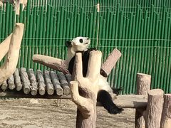 -沈阳森林动物园