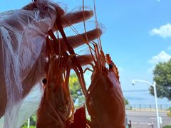 -蟹天蟹地农家菜·阳澄湖大闸蟹(浅水湾店)