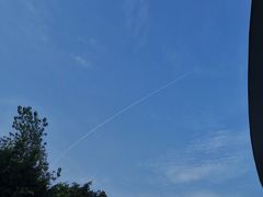 -重庆市奥林匹克体育中心-游泳跳水馆