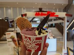 -莉莉熊Lililove Gelato (意大利手工冰淇淋)