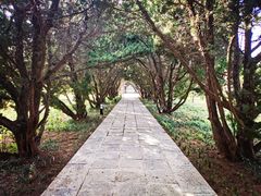 -洛阳古墓博物馆