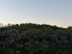 -广州莲花山旅游区