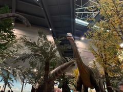 -湖南省地质博物馆