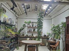 -植觉