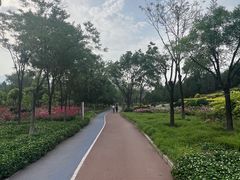 -滨河世纪广场公园