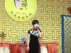 -陕西戏曲非遗博物馆