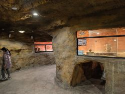 -酷嗒动物文化乐园(cutezoo西溪乐天城店)