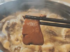 -菌鲜荟(摩根国际店)