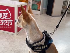 -纳吉亚猫专科动物医院·北北分院
