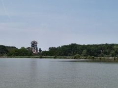 -大湾区中央湿地公园