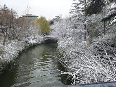 -济南大明湖景区