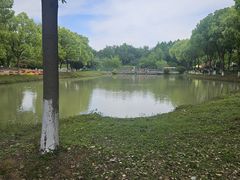 -中国扬子鳄村